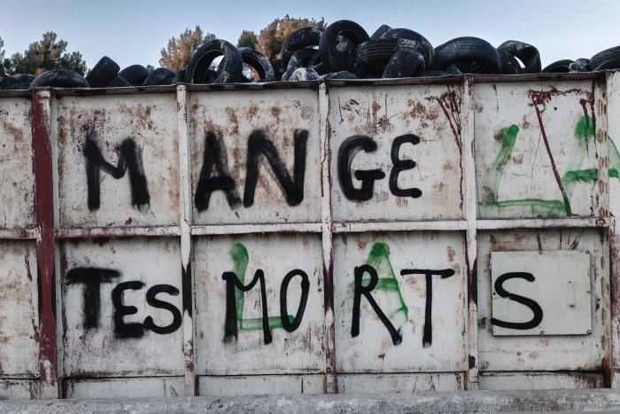 Solidarité devant le tribunal et déclaration à la juge